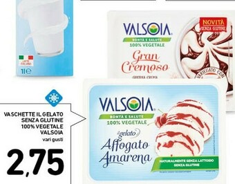 Conad Superstore Valsoia Gelato offerta