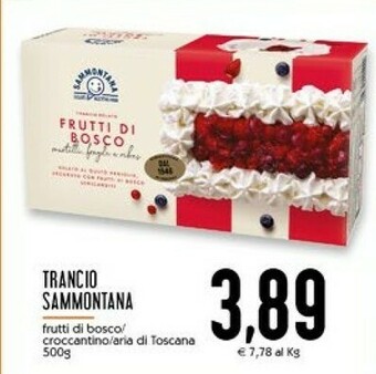 Conad Superstore Sammontana Torta gelato offerta
