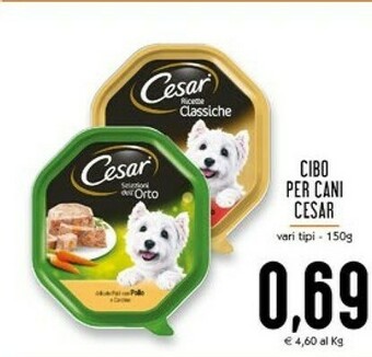 Conad Superstore Cesar Cibo per cani offerta