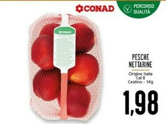 Conad Superstore Pesche offerta