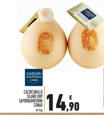 Conad Superstore Sapori Formaggio offerta