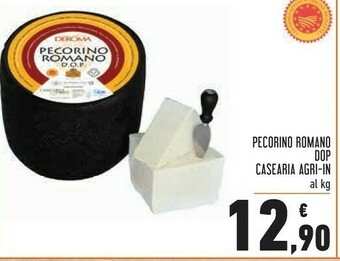 Conad Superstore Pecorino offerta