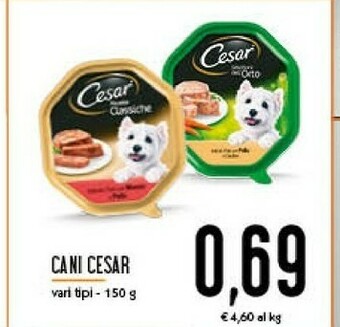 Conad Cesar Cibo per cani offerta
