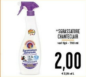 Conad Chanteclair Sgrassatore offerta