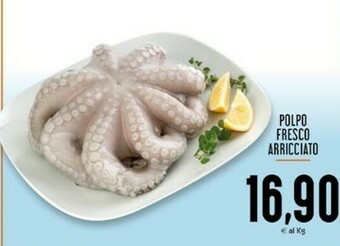 Conad Polpo offerta
