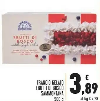 Conad Sammontana Torta gelato offerta