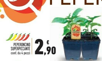 Conad Piante offerta