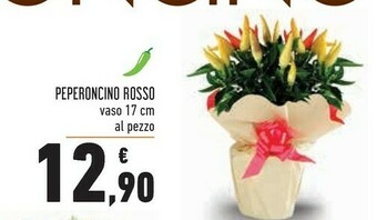 Conad Piante offerta