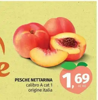 Pam Pesche Nettarina offerta