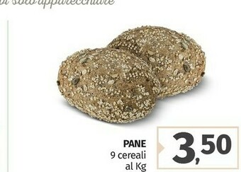 Pam Pane 9 Cereali offerta