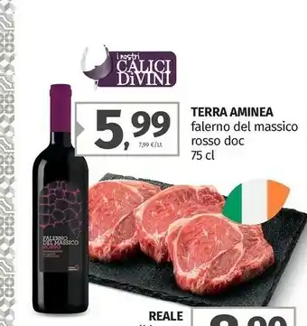Pam Terra Aminea Falerno Del Massico Rosso DOC offerta