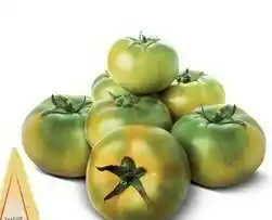 Pam Pomodoro Insalataro Verde Tondo offerta