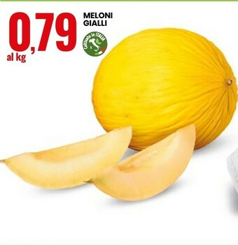 Eurospin Melone offerta