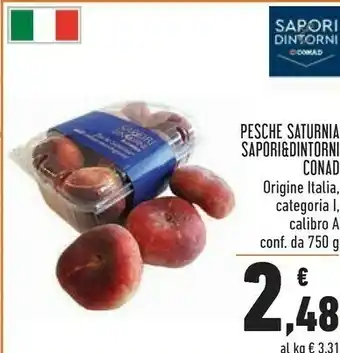 Conad Superstore Sapori Pesche offerta