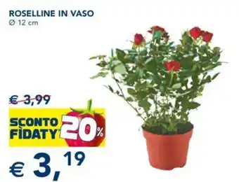 Esselunga Roselline In Vaso Ø 12 cm offerta