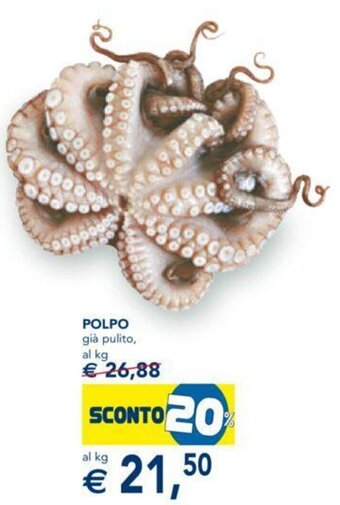 Esselunga Polpo Già Pulito offerta