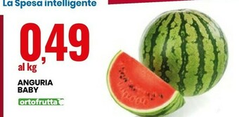 Eurospin Anguria Baby offerta