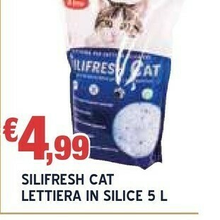Lettiera per gatti