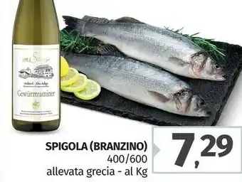 Pam Spigola/ Branzino offerta