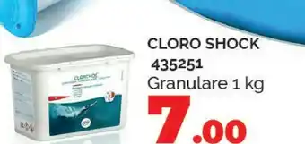 Orizzonte Accessori piscina offerta