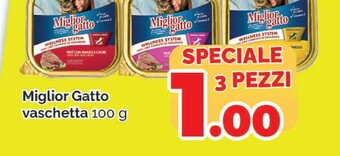 Cibo per gatti