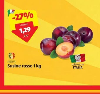 ALDI Susine rosse 1 kg offerta