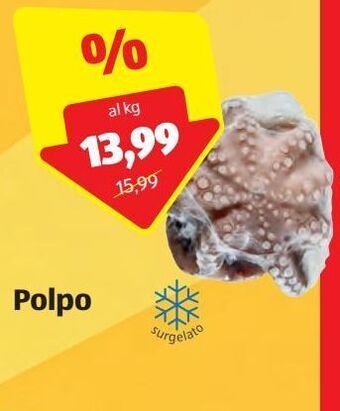 ALDI Polpo offerta