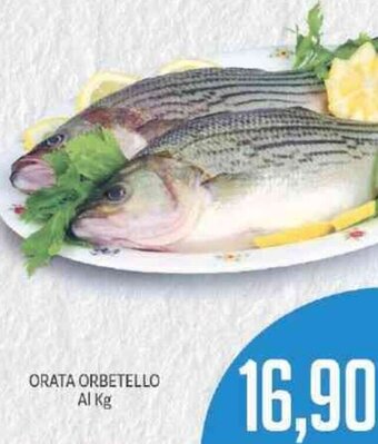 Supermercati Piccolo Orata Orbetello offerta
