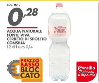 Italmark Consilia Acqua Naturale Fonte Viva Cerreto di Spoleto offerta
