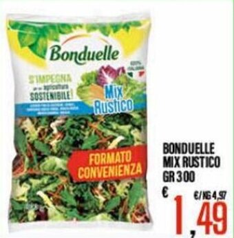 Supermercati EffePiù Bonduelle mix Rustico gr 300 offerta