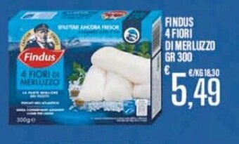 Supermercati EffePiù Findus 4 Fiori di Merluzzo gr 300 offerta