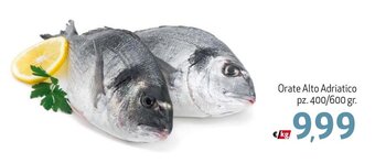 Maxi Supermercati Orate Alto Adriatico pz. 400/600 gr. offerta