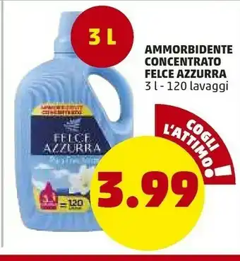 PENNY Felce Azzurra Ammorbidente Concentrato offerta
