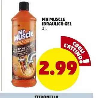 PENNY Mr muscle Idrualico Gel offerta
