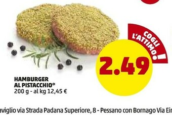PENNY Hamburger Al Pistacchio offerta