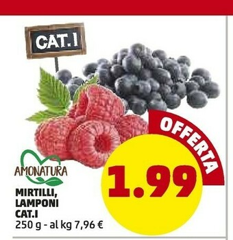 PENNY Amonatura Mirtilli Lamponi offerta