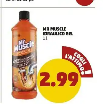 PENNY Mr muscle Idraulica offerta