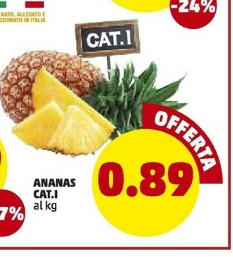 PENNY Ananas offerta