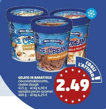 PENNY Mike Mitchell's Gelato In Barattolo Ice Cream offerta