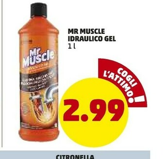 PENNY Mr muscle Idrualico Gel offerta