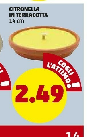 PENNY Citronella In Terracotta offerta