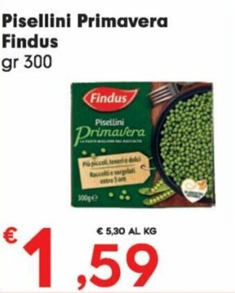 DeSpar Express Pisellini primavera findus offerta