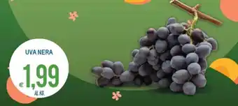 MD Discount Uva Nera offerta