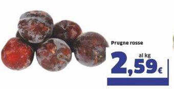 Sigma Prugne rosse offerta