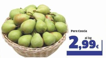 Sigma Pere Coscia offerta