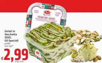Paghi Poco Sigel Gli Speciali Gelati in Vaschetta 600 g offerta