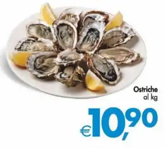 Deco Maxistore Ostriche al kg offerta