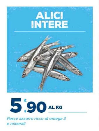 Deco Supermercati Alici Intere al kg offerta