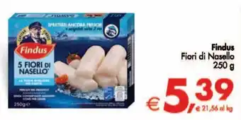 Deco Maxistore Findus Fiori di Nasello 250 g offerta