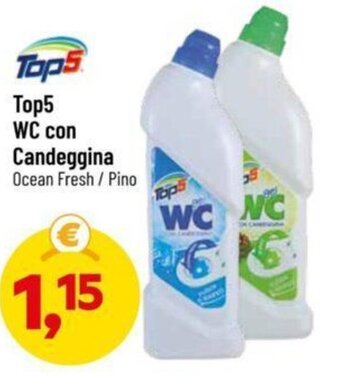 DPiù Top5 WC con Candeggina Ocean Fresh / Pino offerta
